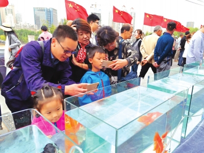 长假期间,有趣的活动吸引了市民围观 长假期间,有趣的活动吸引了市民围观